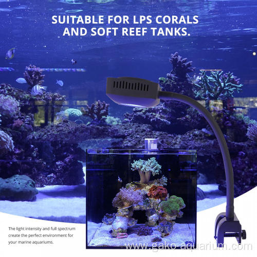 best aquarium led lighting for coral